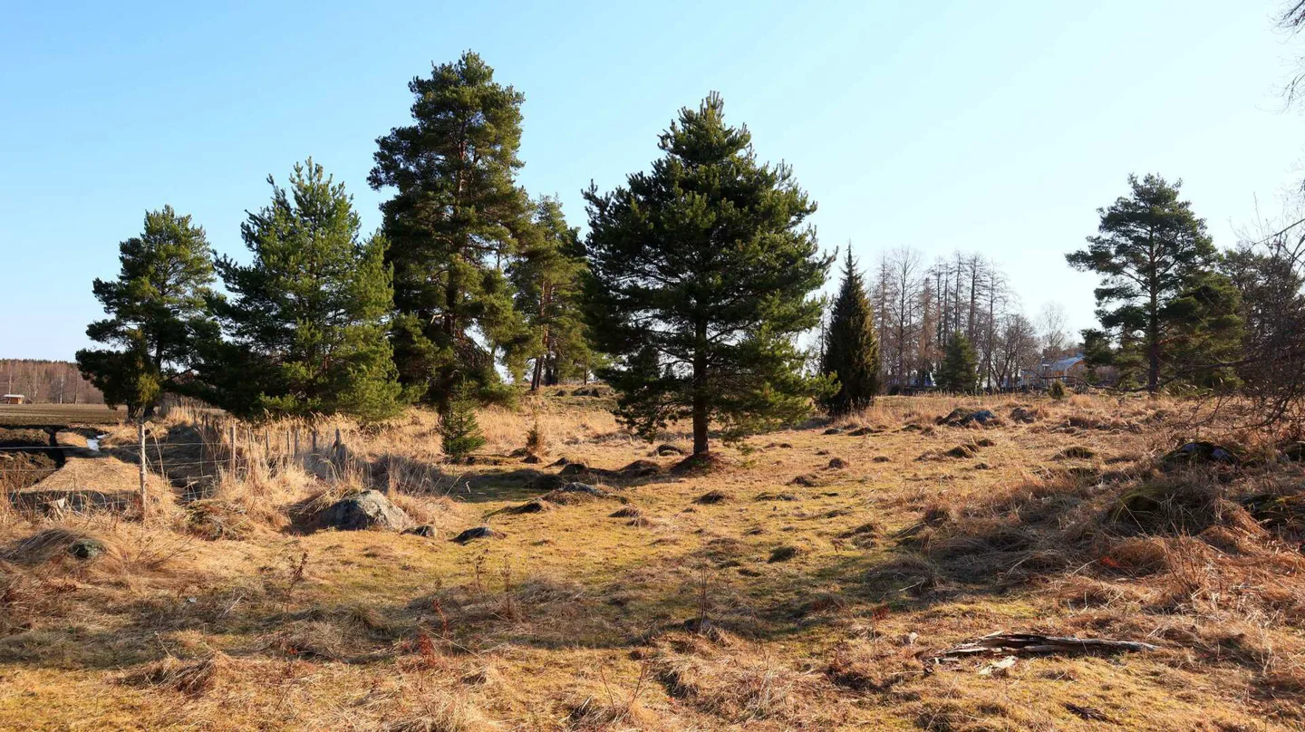 0186442e6073a7cf4007b7c7737dc67b