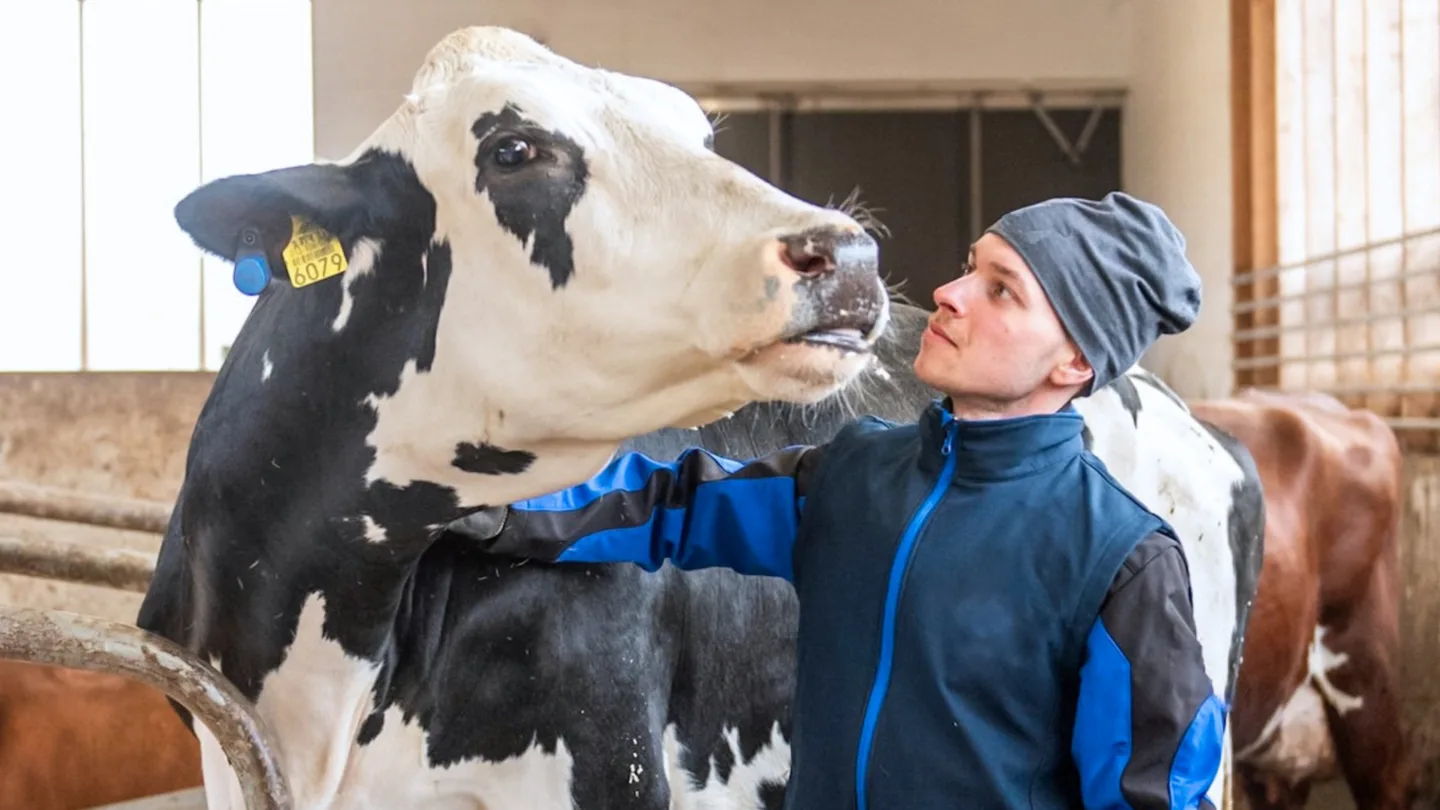 01dfb3480cb04faa539283a94d4c28ec