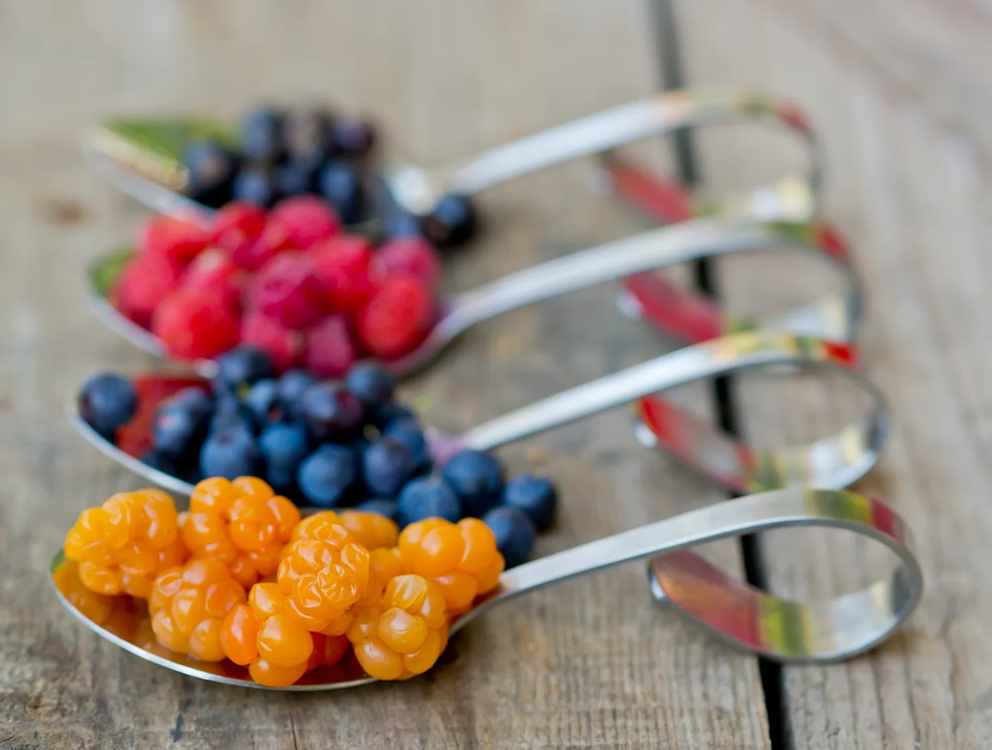 0601 89a8wdu0 vastavalo 492468 Marjat Kuvaaja Riitta Weijola vapaa kayttooikeus kaikkiin tarkoituksiin rajoittamattoman ajan