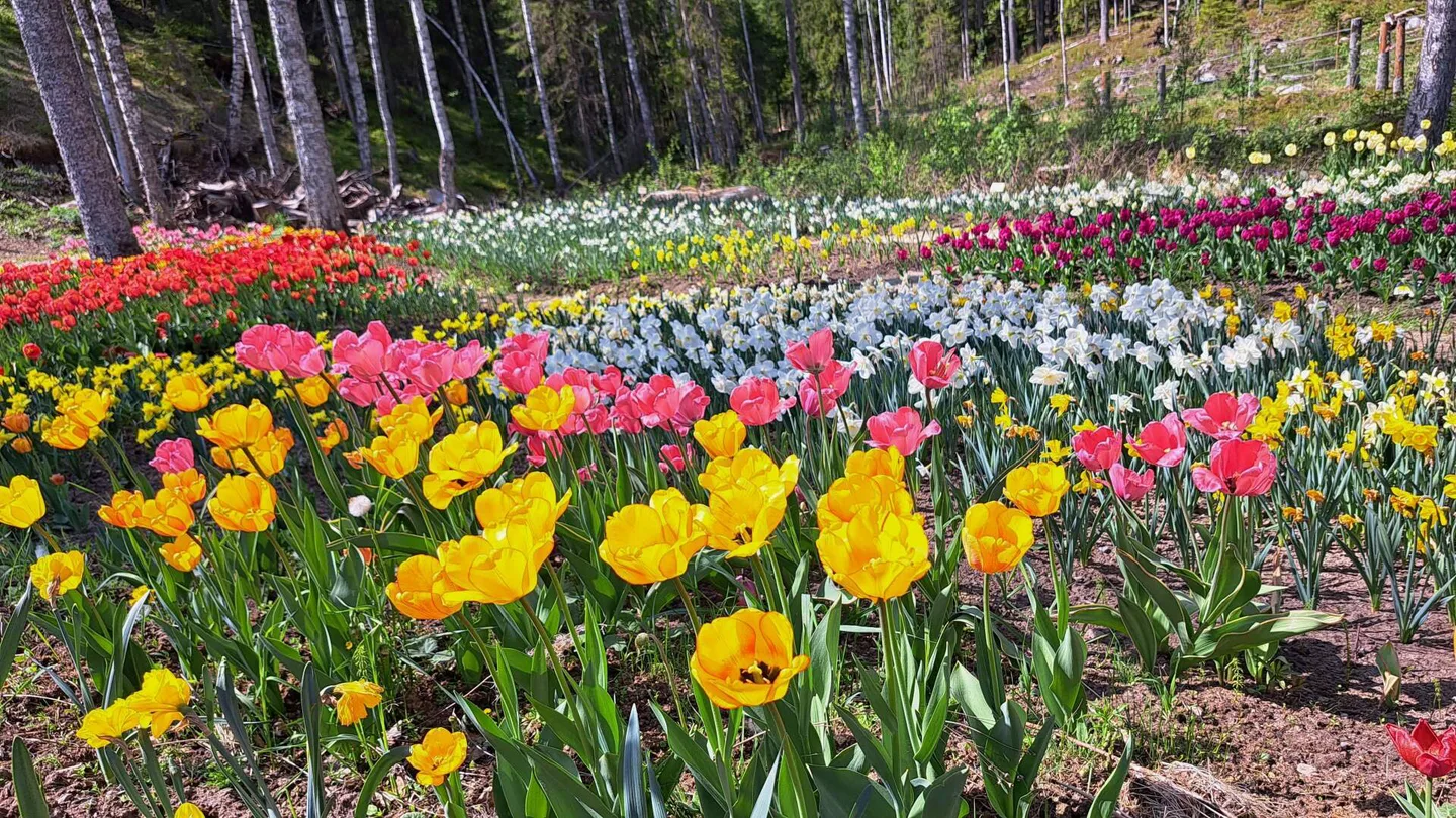 08cf7ee93183a6cfd196618503440677