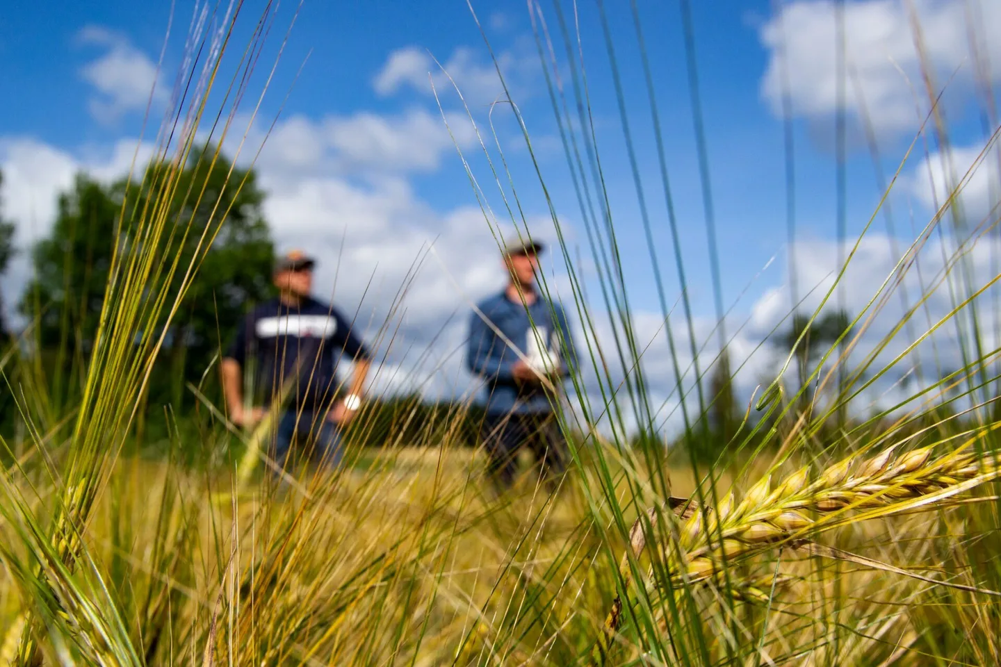 0fe3529bd7712311c5e92b775cdd60d4