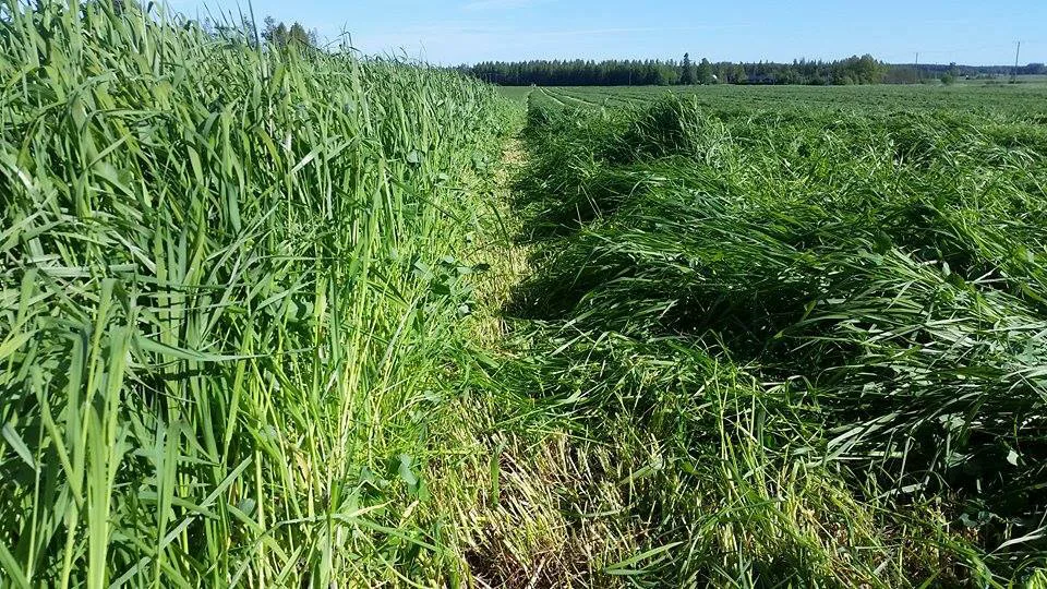 11428973 889824537729763 922664237 n