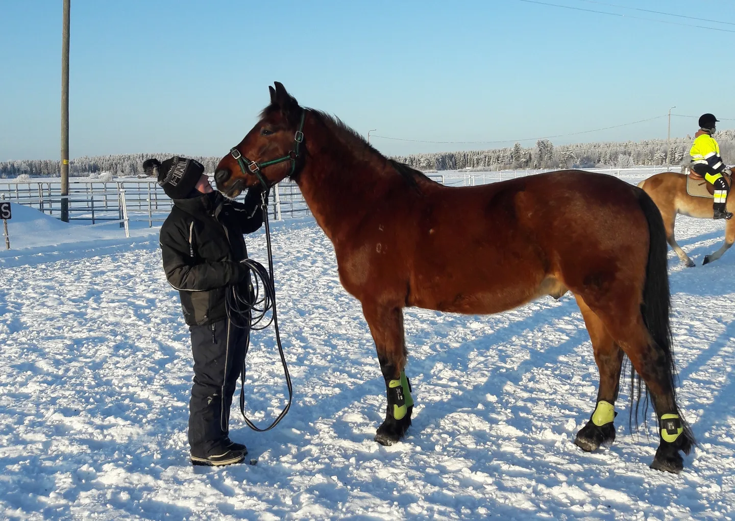 1kotielaintallitsekkiojamaentallillahevoset