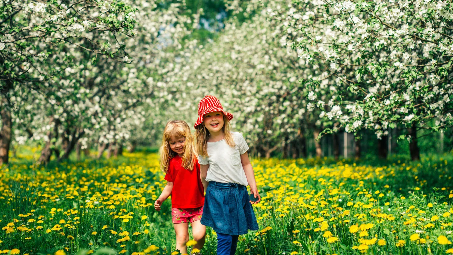 20140525 1102 l1003594 c jussi hellsten 2