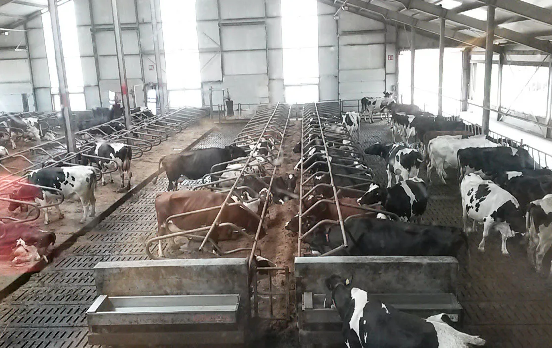 2016 09 12 701 pihatto outi k raj