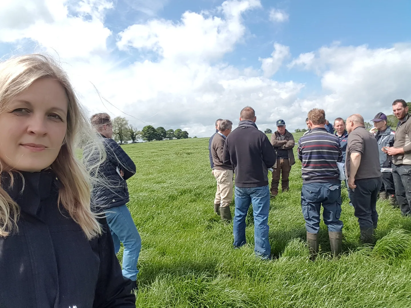 Kärpäsenä katossa Irlannin taivaan alla