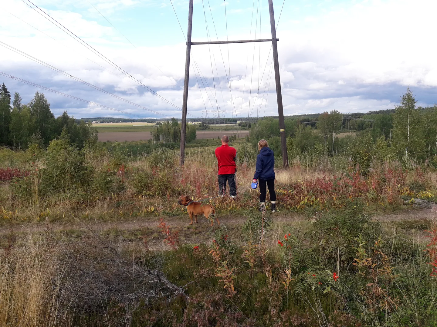 Kuva. Saara Ryhänen