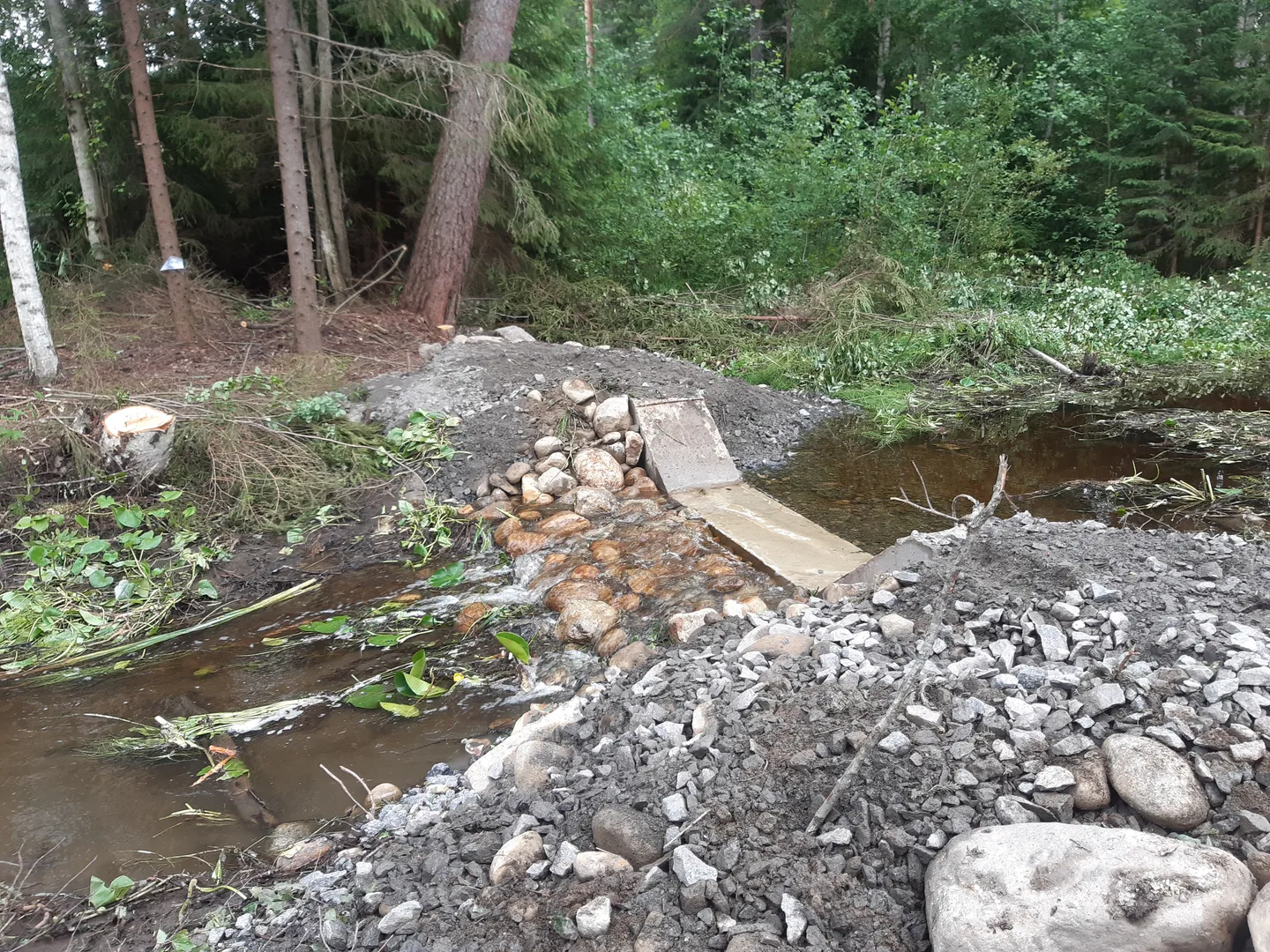 20220712 kuva3 pekka hakkinen