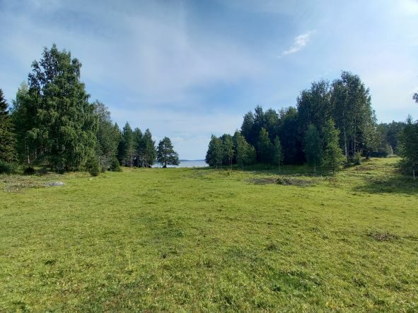 Orivarsalaidunta Siilinjärven saaressa