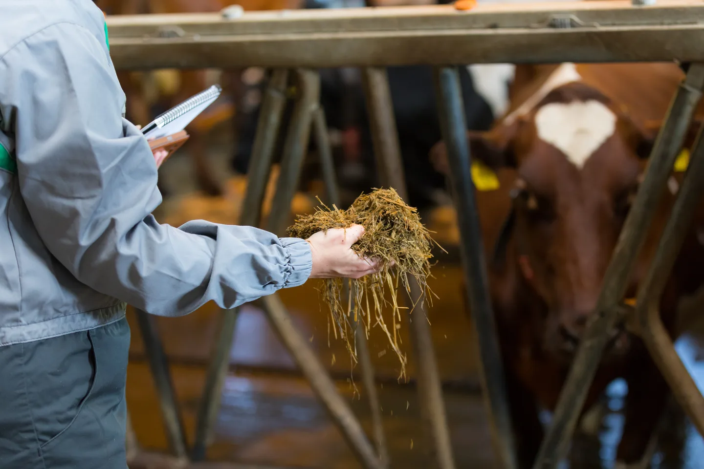 28984776777 278a0bba4c o