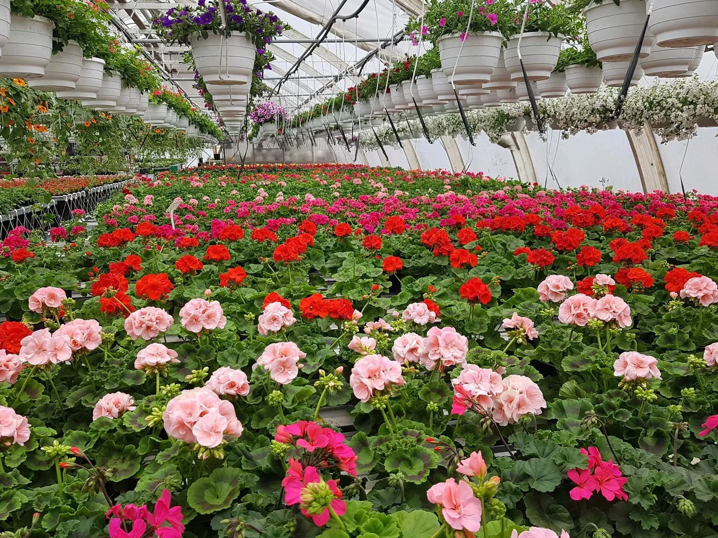 370d0260e536e4f6f1fc149ae1773f89