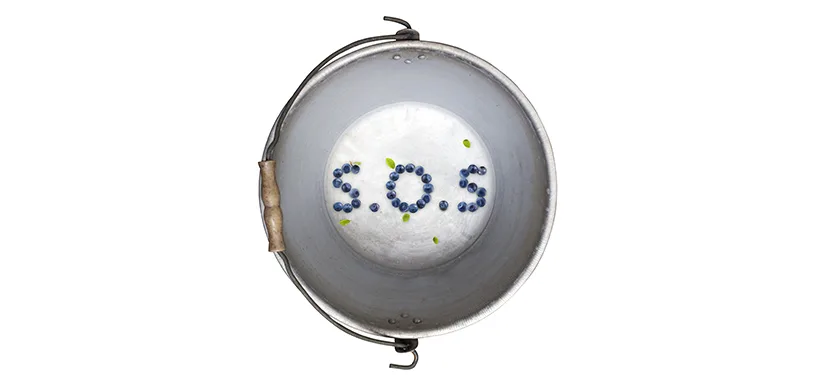 4015
