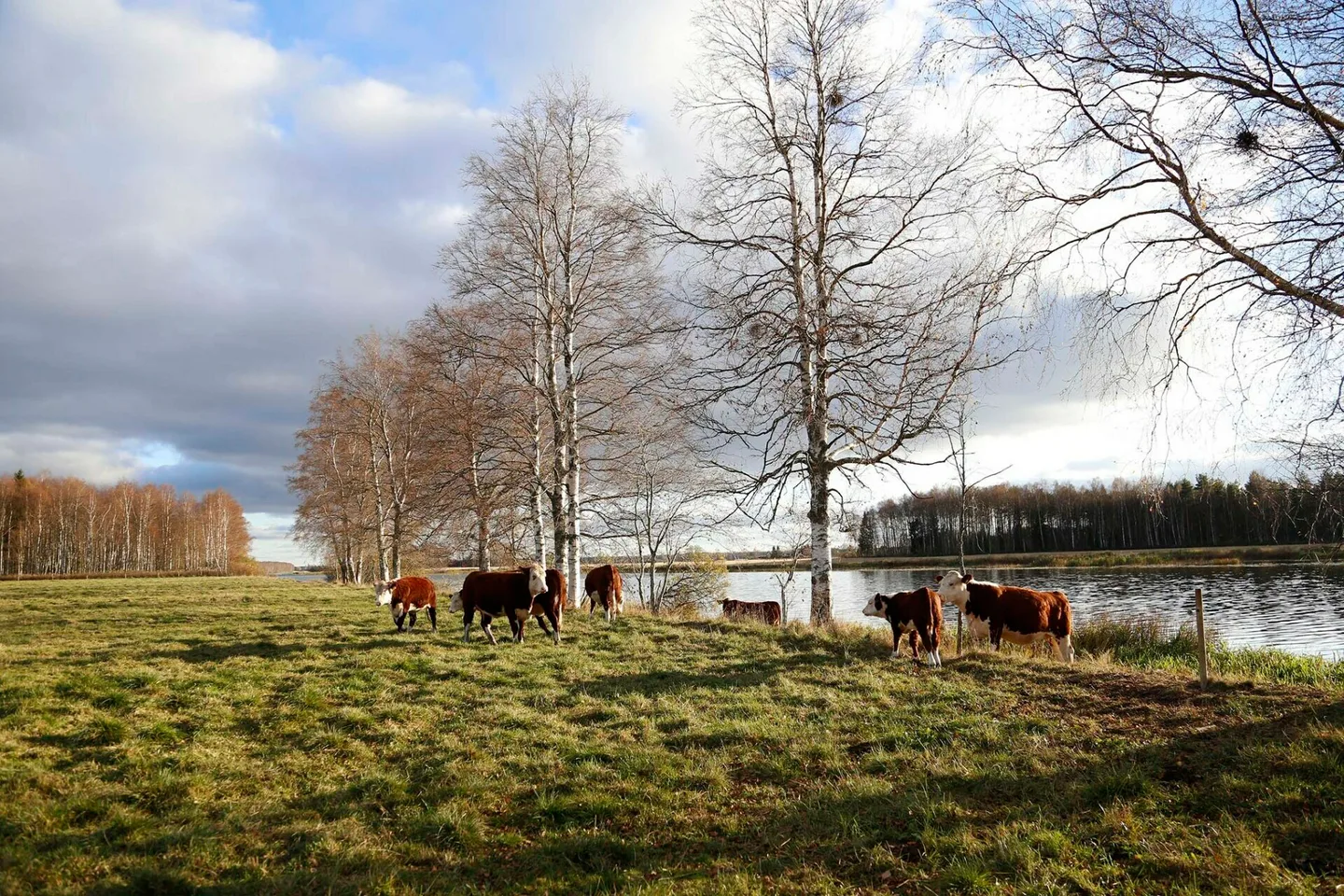 4c0c7d7002475b7d5004895ce1f5d476