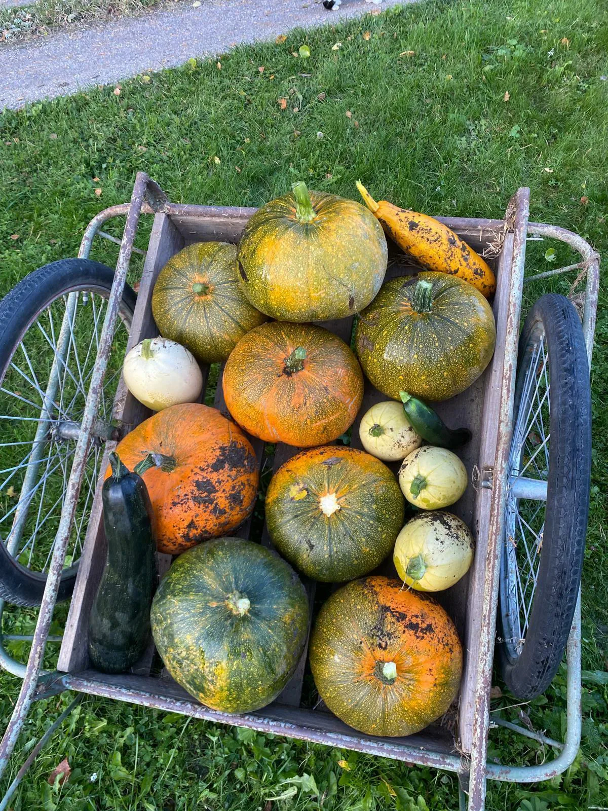 4eb26196d1a2e02901595b91882c6bc9