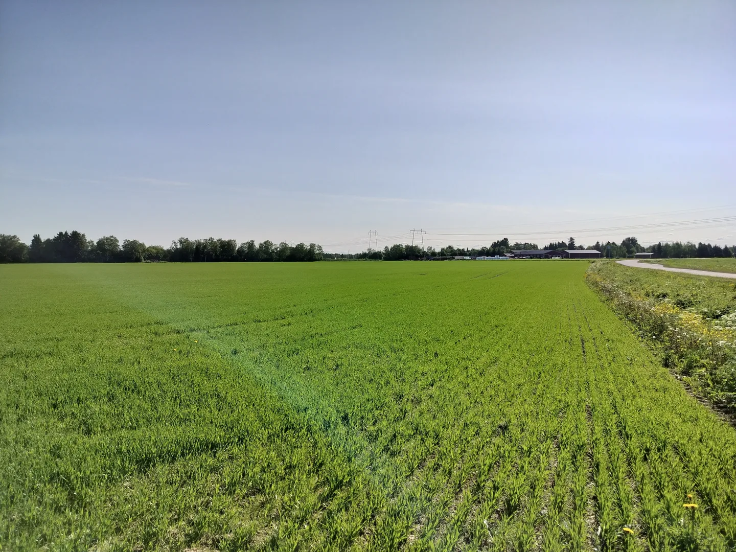 563b4c09c3549ef02ef6f30511831544