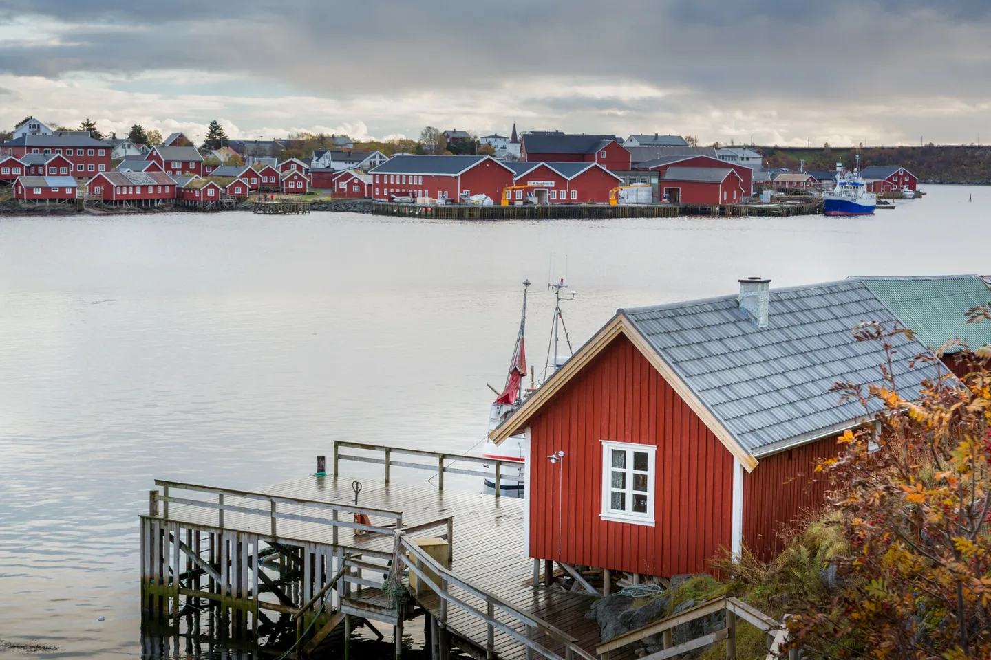 585cefed56a641fbedc9759826ea81a1