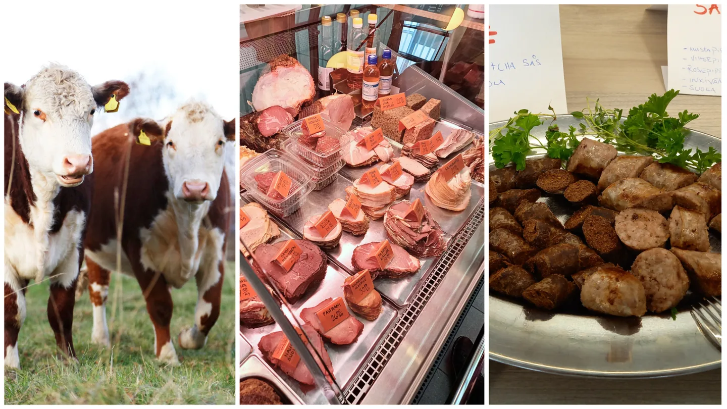 5867436f93d7ba1a4c81b144f9284617