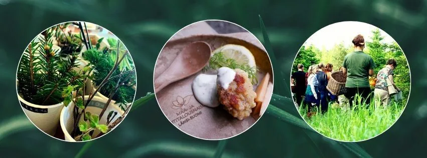 7b25052e81bb683a58ba4cda3eedaf1f