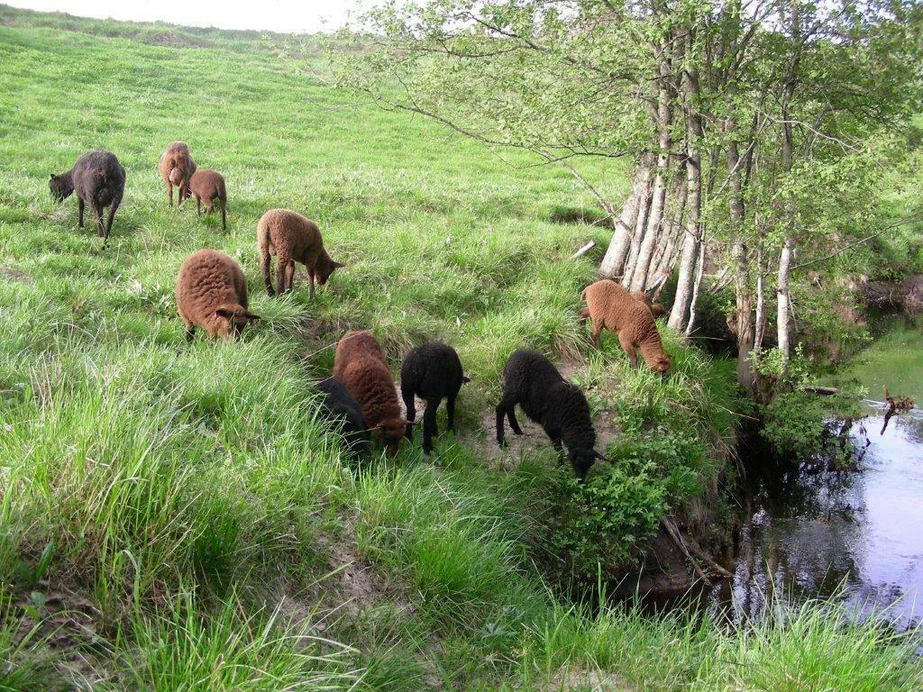 7ff86c128726581967c27a94d8d470b7