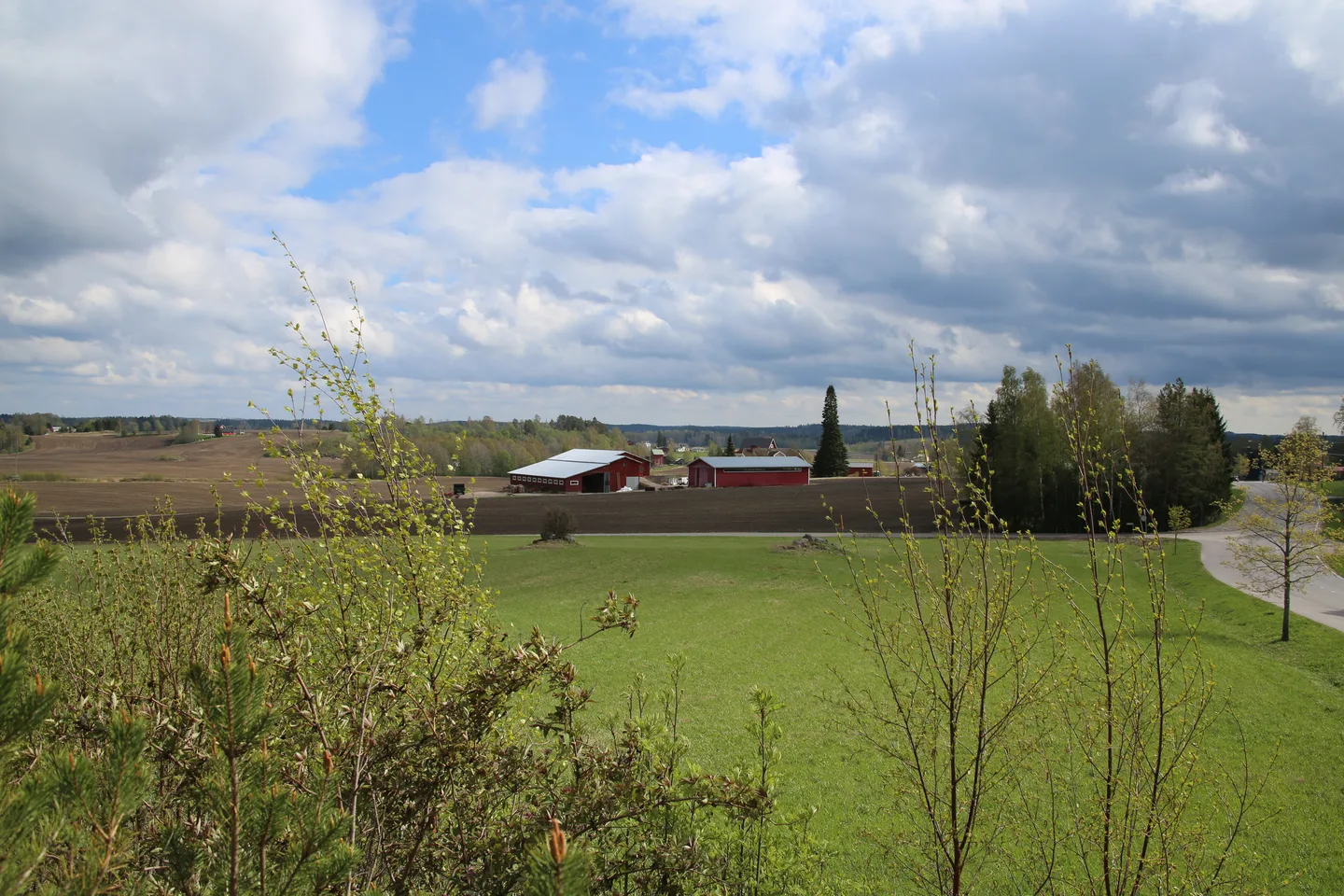 Kuva. Leena Lahdenvesi-Korhonen