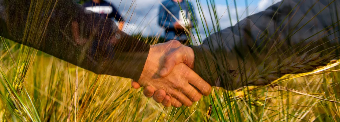 AMMU paakuva 1110x400 ilman kuplaa