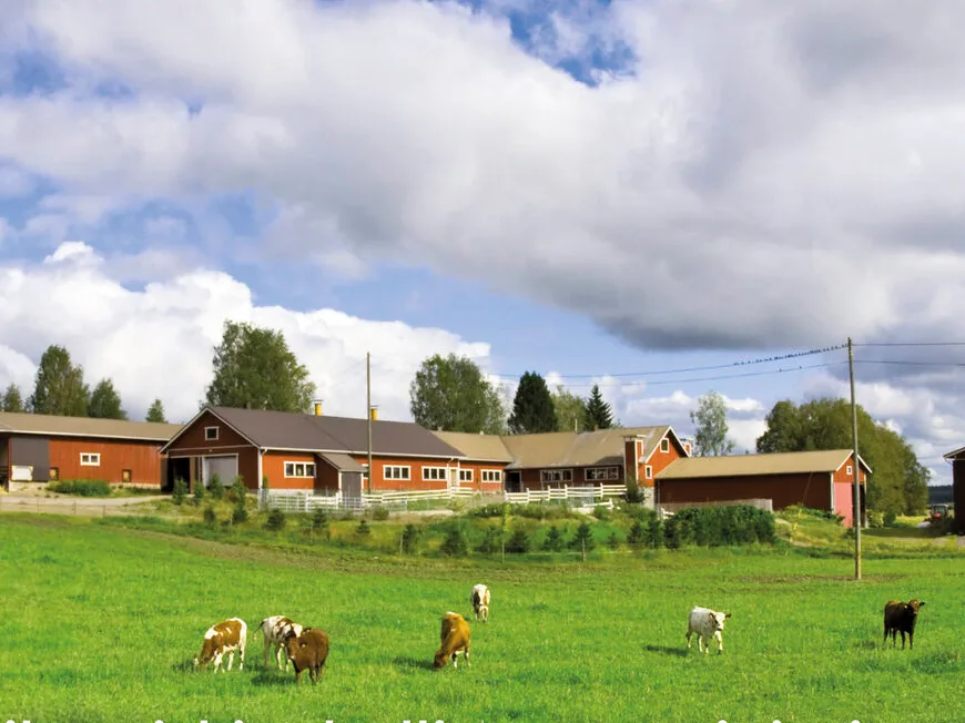 X Riskienhallinta kartoitustyokalu kansikuva 002