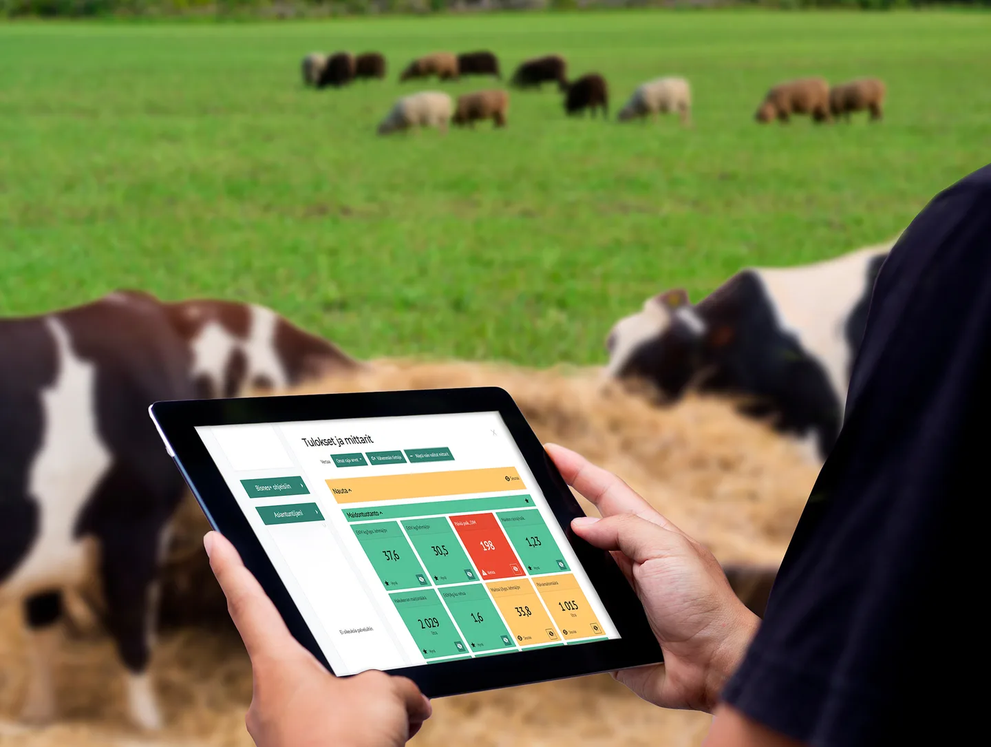 Digi Mare kuva Nettisivut