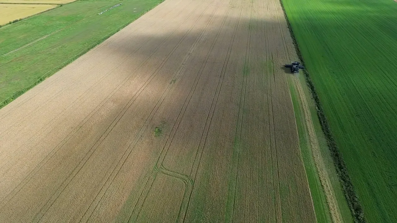 Dronekuva pellolta