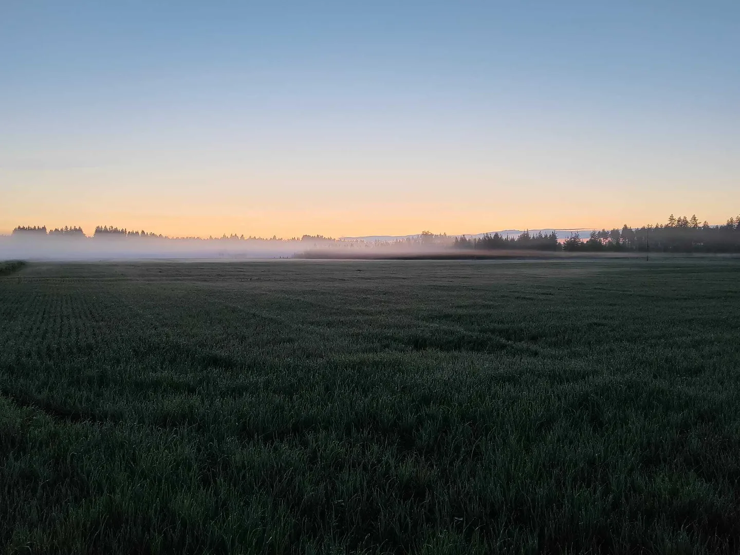Auringonlasku ruiskutuksen hetkella