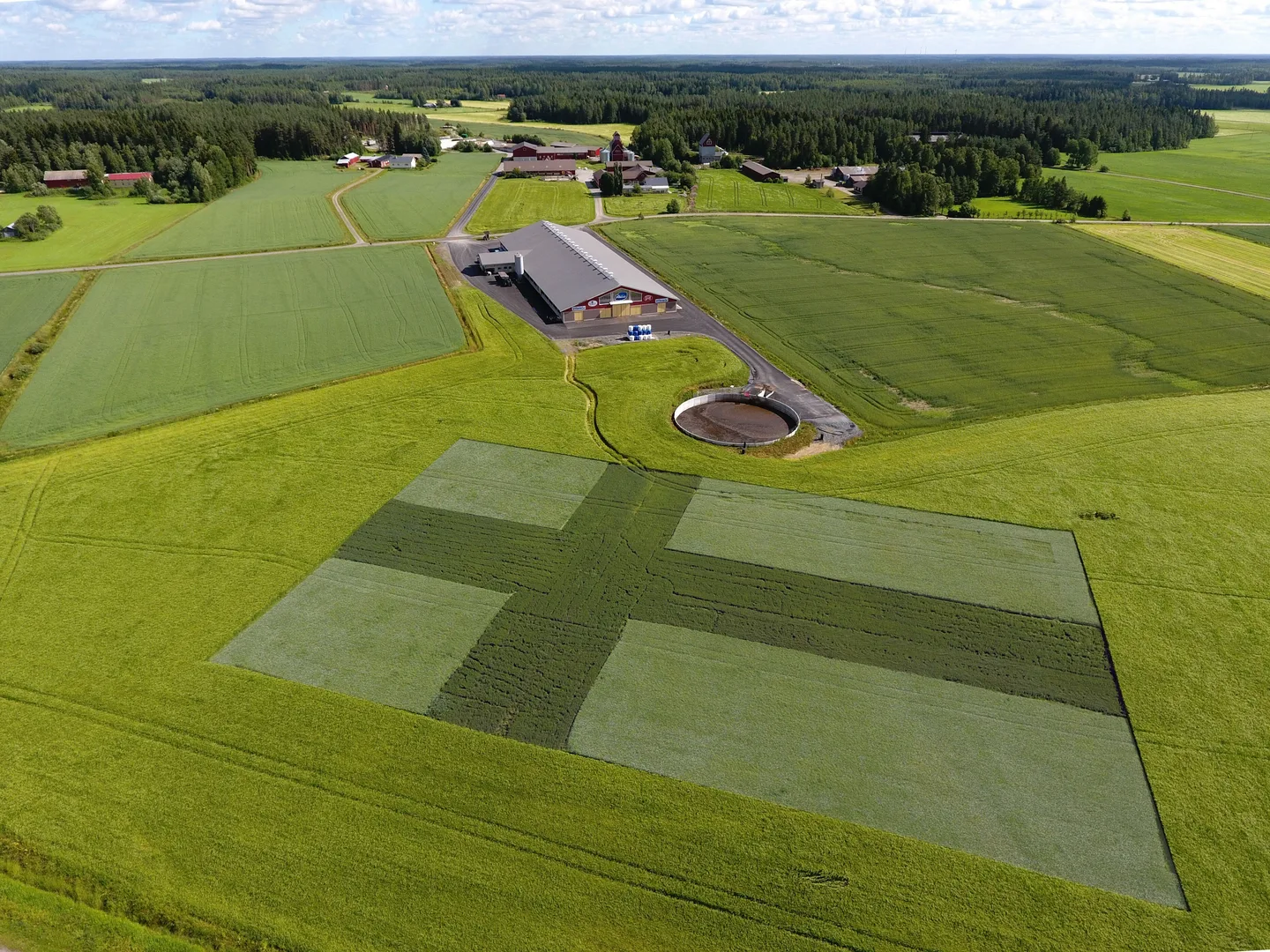 Koskenojan tila Kauhajoki kuvaaja Ville Nurminen 2024