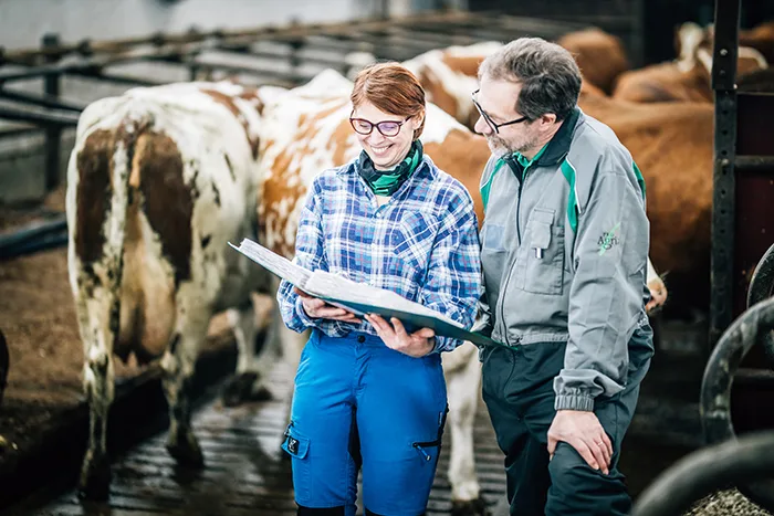 Talous24 MS 2 A2 A8278 netti