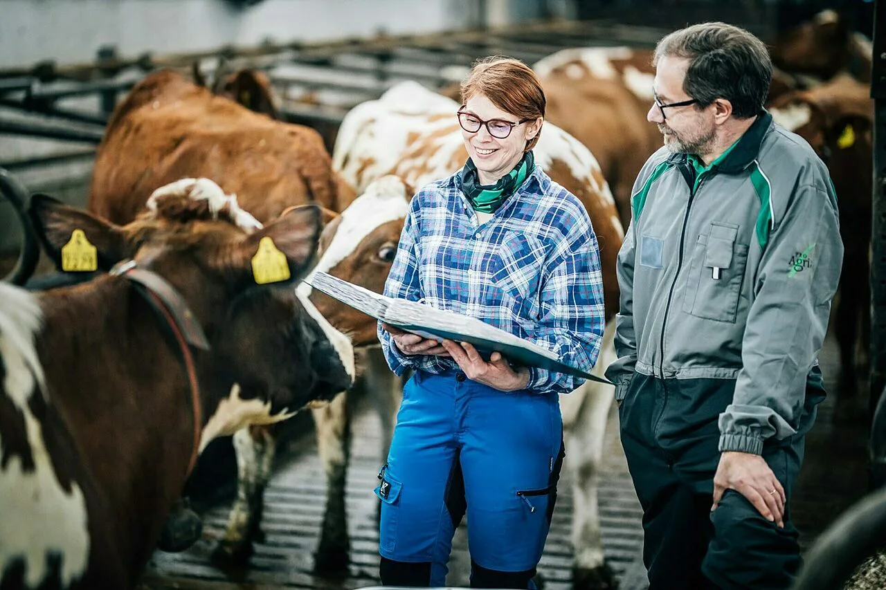 Milta maidontuotannon markkinat nayttavat