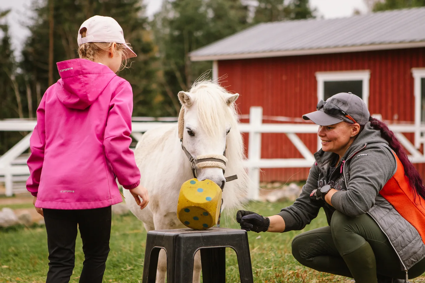 Ella hankkeen paakuva