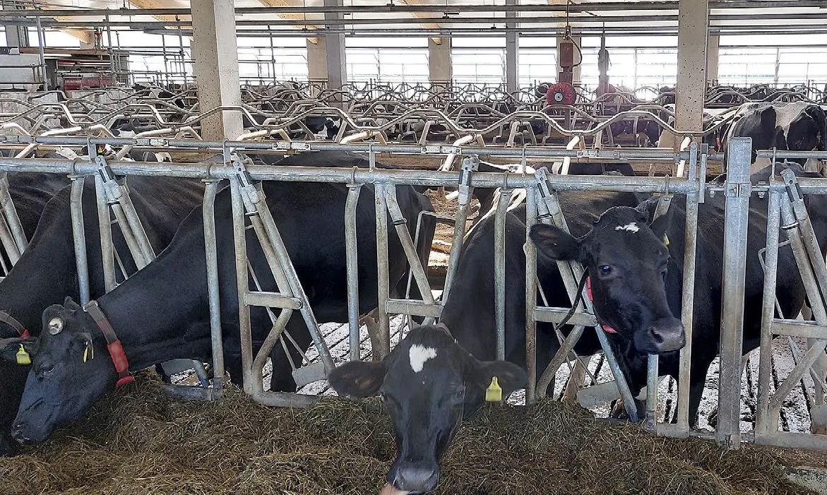 Euroja Etsimassa Tiedotuslehti 4