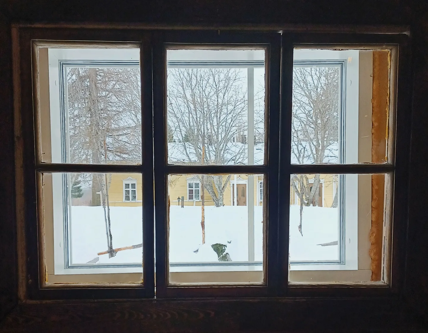 Haapala ikkunan lapi