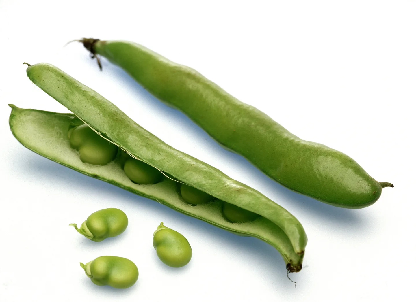 Harkapapu Kotimaiset Kasvikset