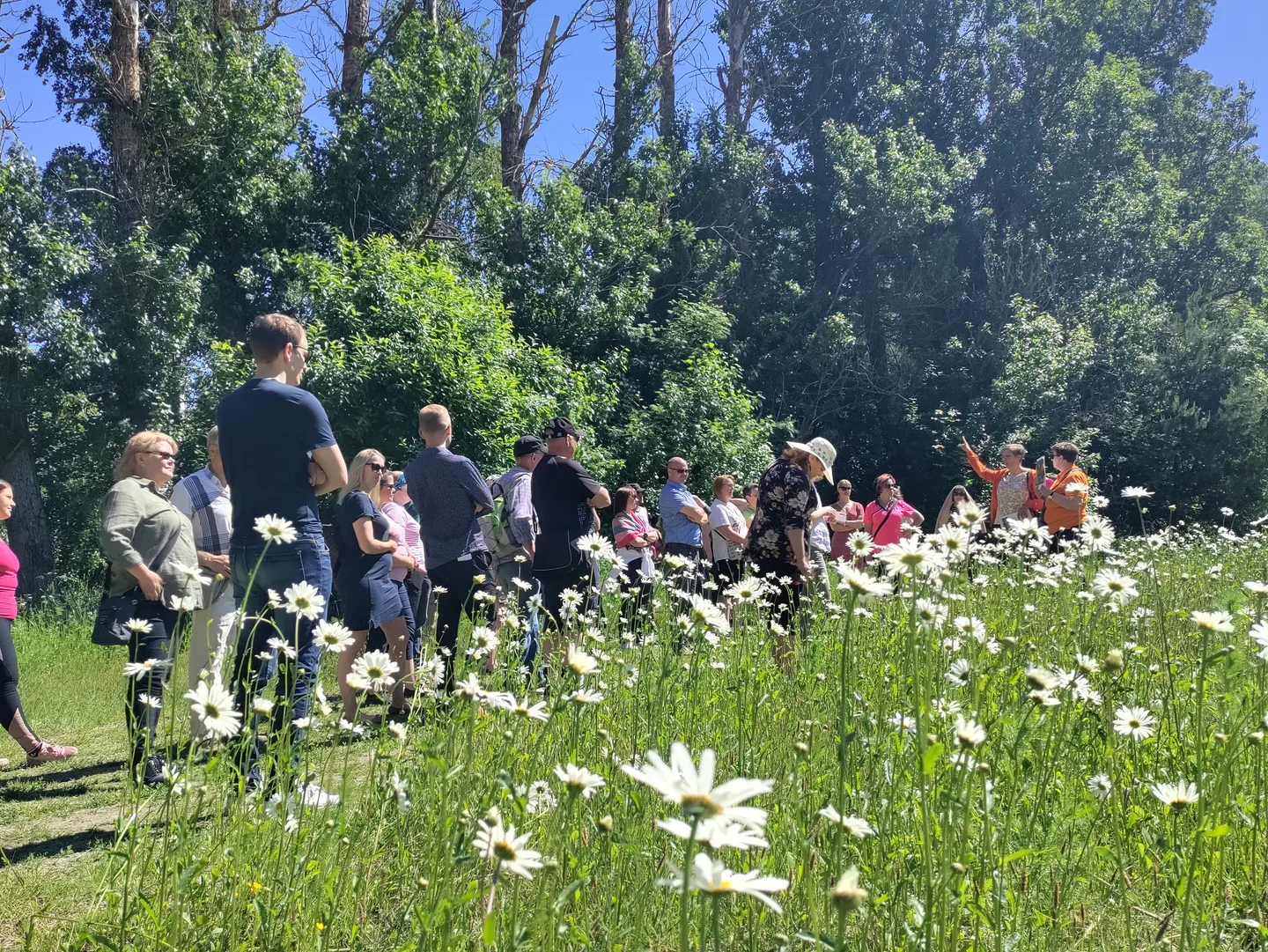 Henkilostopaivat kesa 22 Vivika Ahtiala