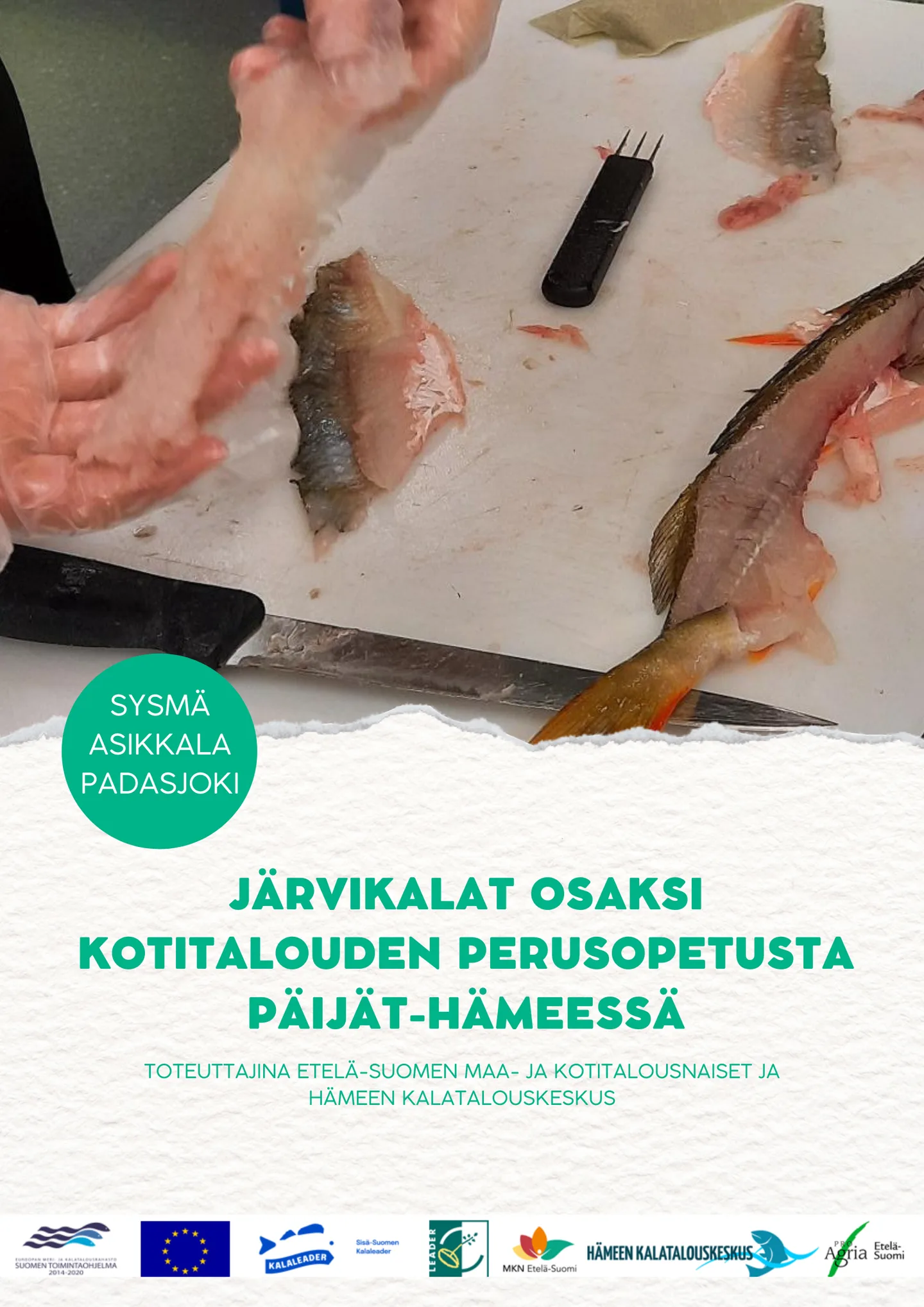 Jarvikalat perusopetukseen