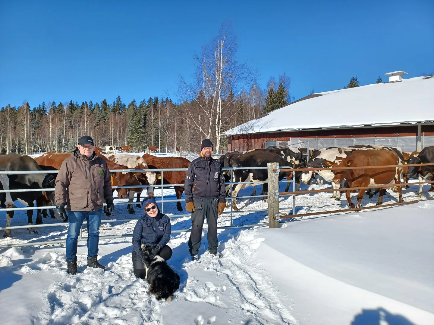 Juvan Muumaa Ay Anssi Heli ja Heikki Kuva Virpi Reinikainen