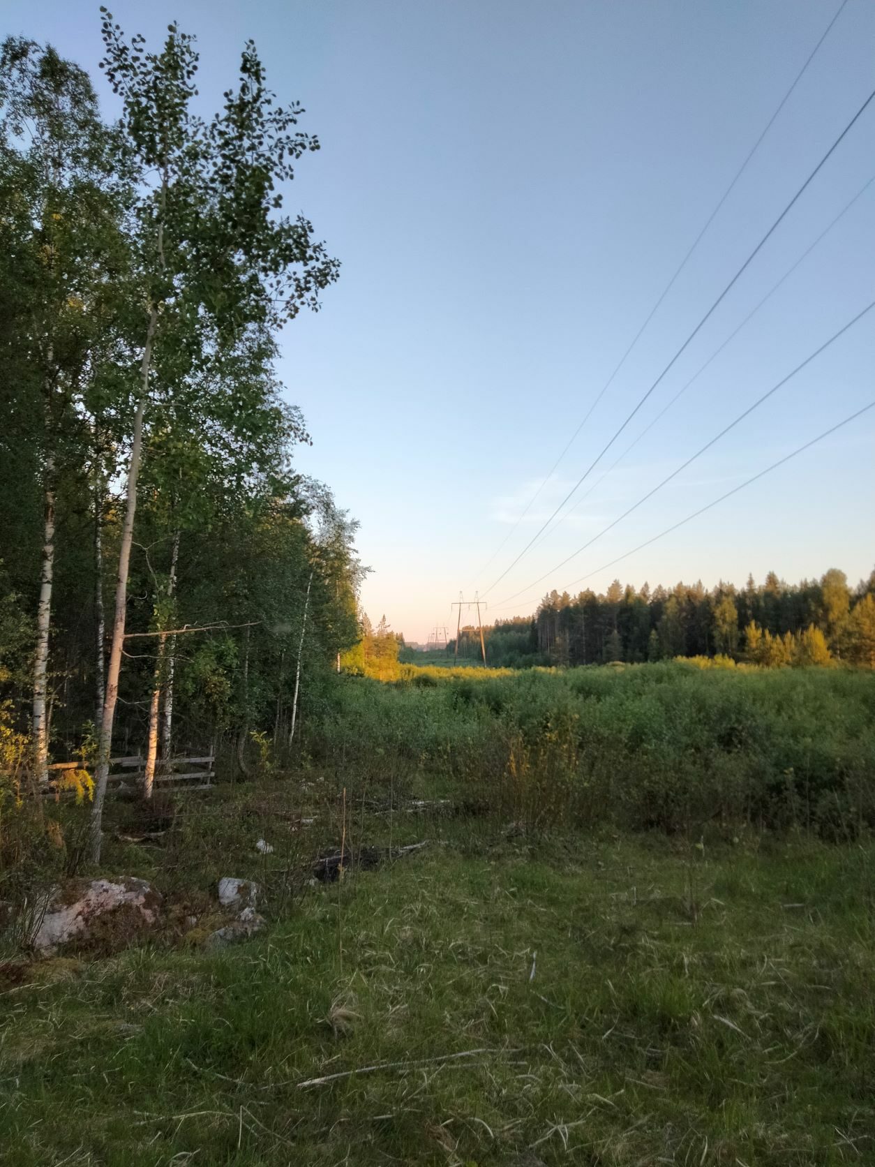 Kainulan kotitilan lammaslaidun
