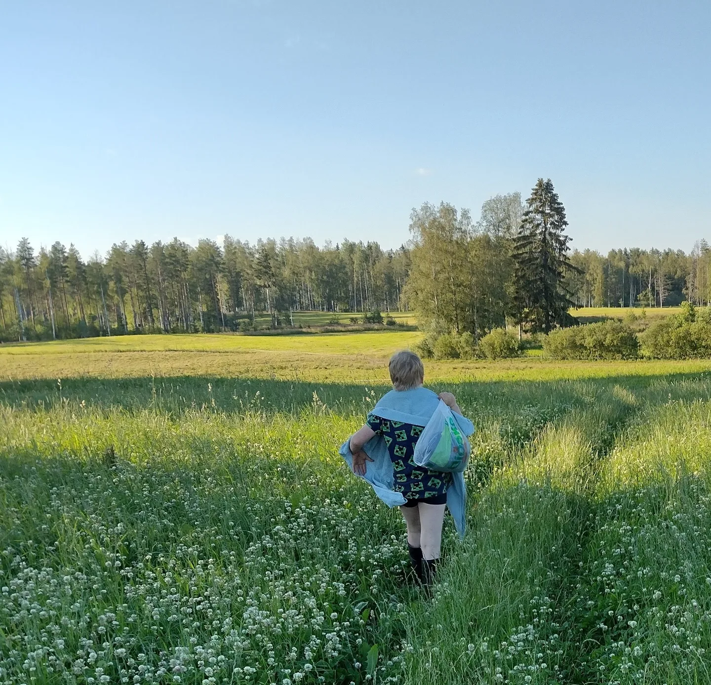 Kirmaus apilassa vaaka