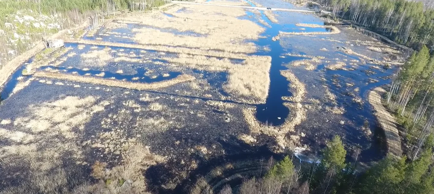 Kosteikkokuva videosta