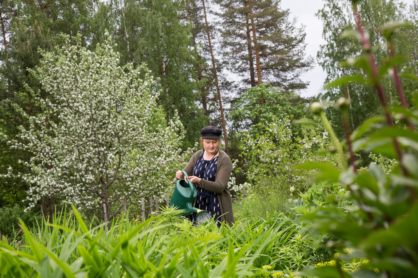 Kukkolan tila 200617 001