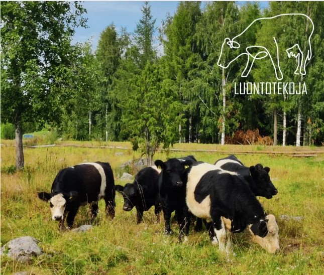 EP MKN Luontotekoja laiduntamalla blogikuva1_MarikaT