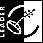 Leader logo RGB mv EU PIENI