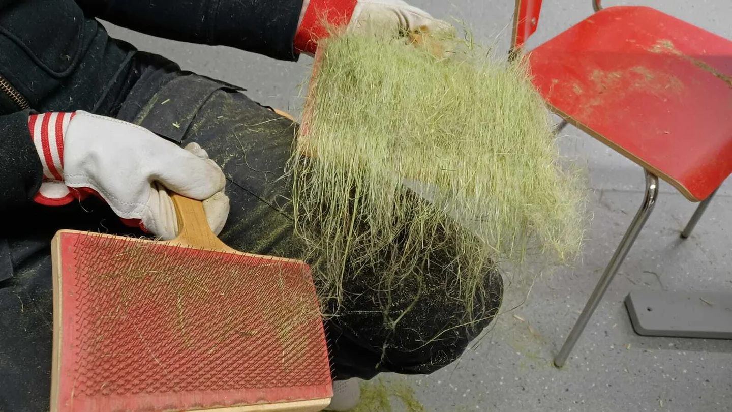 Luonnonkuidut MKN nokkosen karstaus