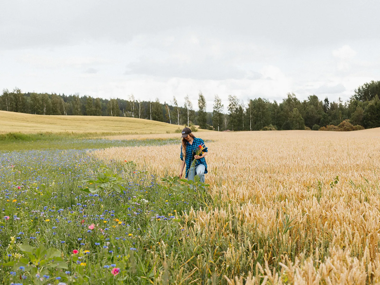 Luontoarvot euroiksi biodiversiteettistrategia Sonja Kankaanpaa kuvassa2000x1500