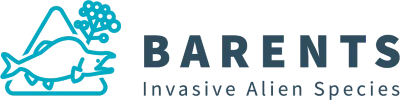 BARENTS logo vaaka 400 100