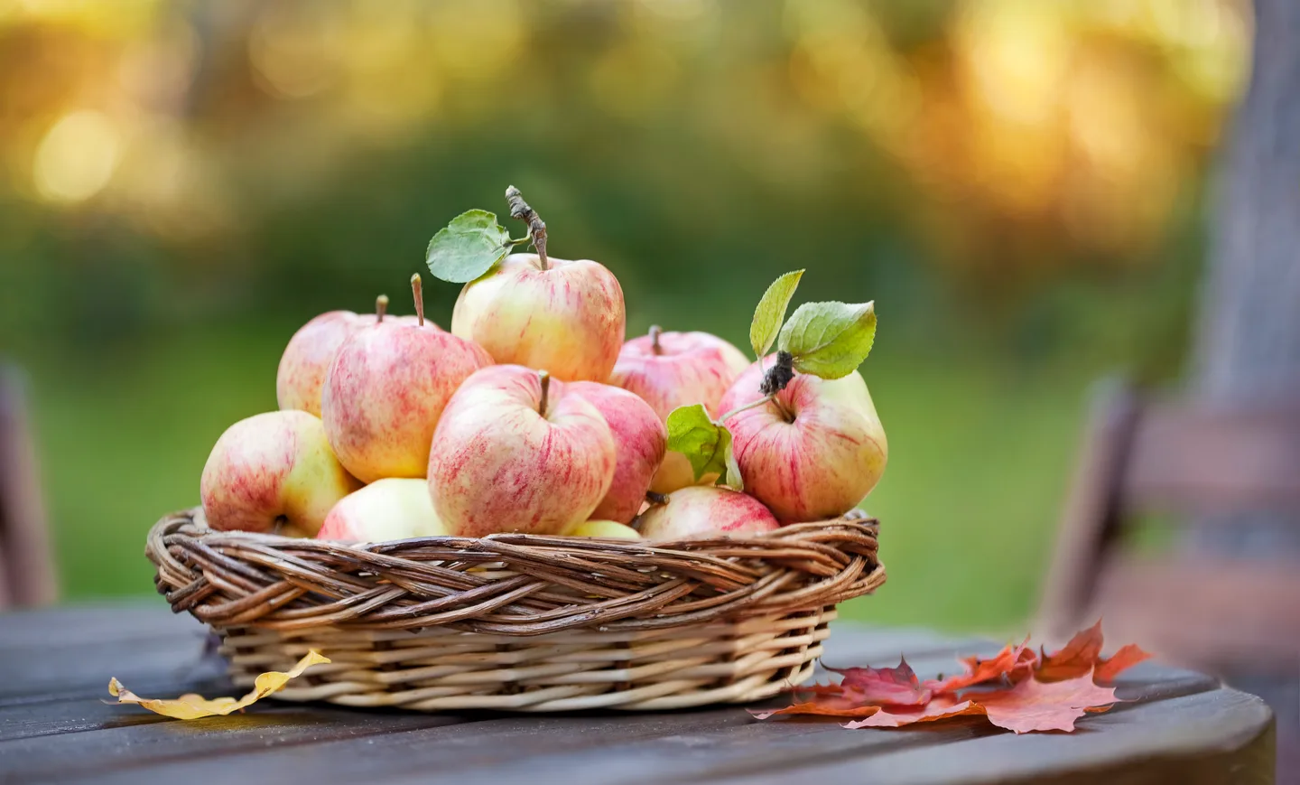 Korillinen kotimaisia omenia