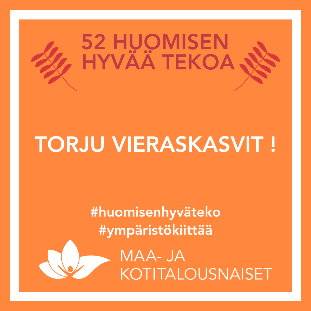 HHT_Torju Vieraskasvit